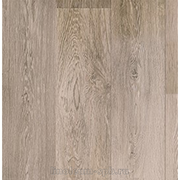Форум Вегас 12 161l